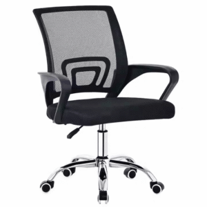 Chair for Office Workers and Remote Workers